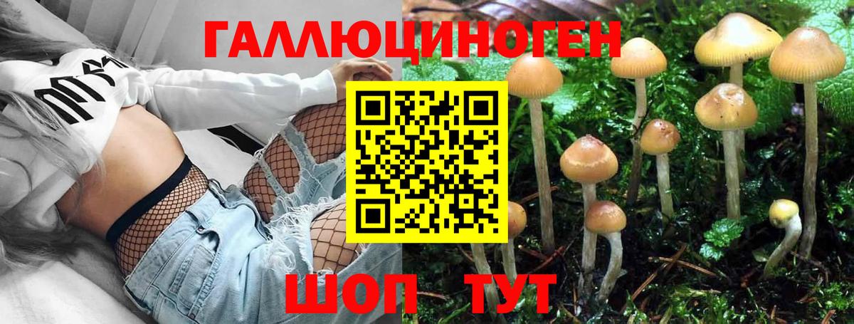 Галлюциногенные грибы мицелий Карасук